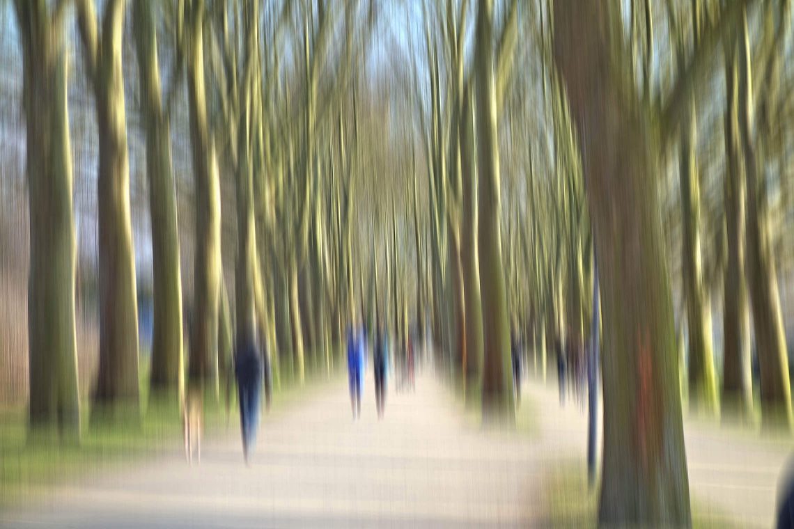 Spaziergänger I